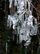 Silver Falls 12.10.05 034 